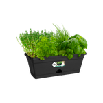 green basics balkonbak mini 30cm living black